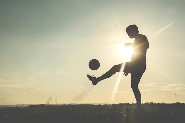 MK体育平台视觉图